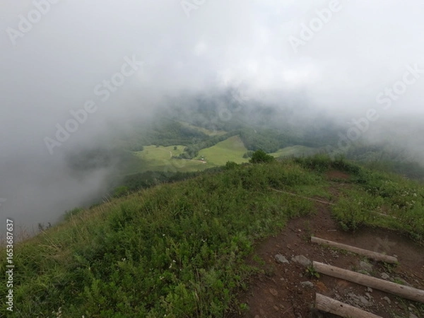 Fototapeta 登山道