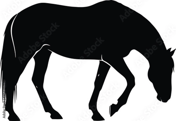 Fototapeta Silhouette of a horse grazing, depicted in a simple, elegant black and white style.
