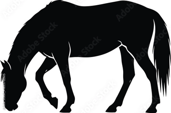 Fototapeta Black silhouette of a horse grazing in a field, showing its profile.