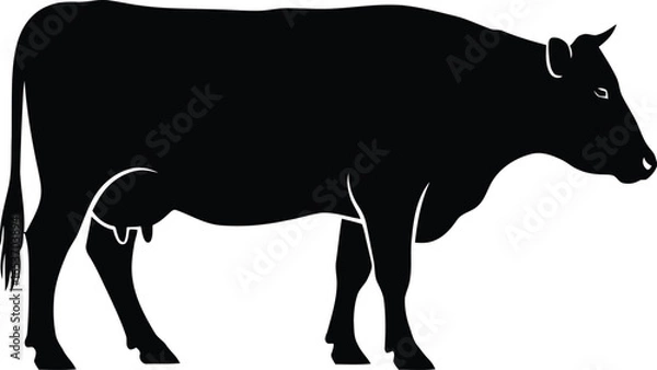 Fototapeta Black silhouette of a cow in profile, showing its body and features.
