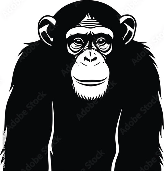 Fototapeta A black and white vector illustration of a chimpanzee with a thoughtful expression.