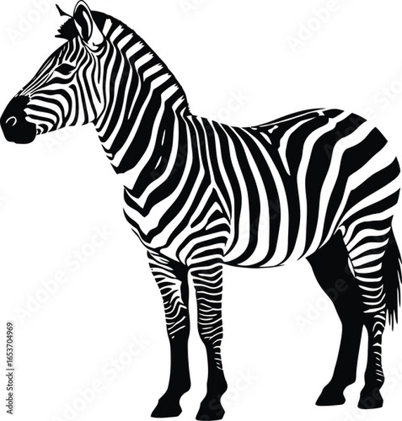 Fototapeta Profile view of a zebra, showcasing its distinctive black and white stripes.