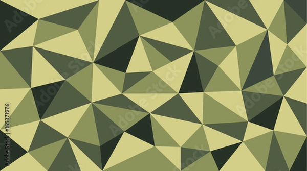 Fototapeta soldier polygon pattern