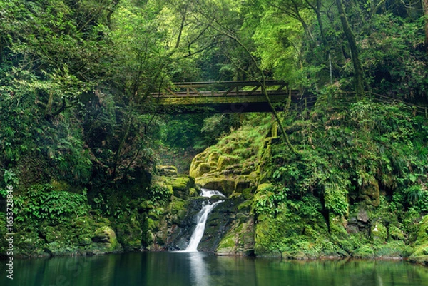 Obraz 霊蛇滝　赤目四十八滝