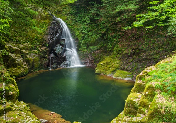 Obraz 不動滝　赤目四十八滝