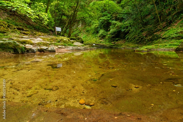 Obraz 赤目四十八滝　散策路