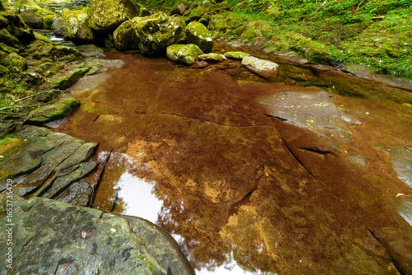 Obraz 赤目四十八滝　散策路