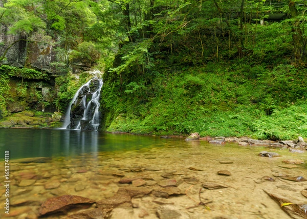 Obraz 千手滝　赤目四十八滝