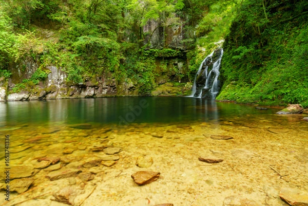 Obraz 千手滝　赤目四十八滝