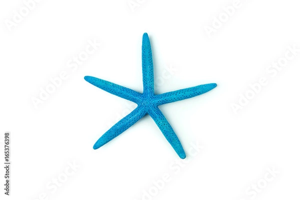 Fototapeta Blue starfish isolated on white background,Clipping Path.