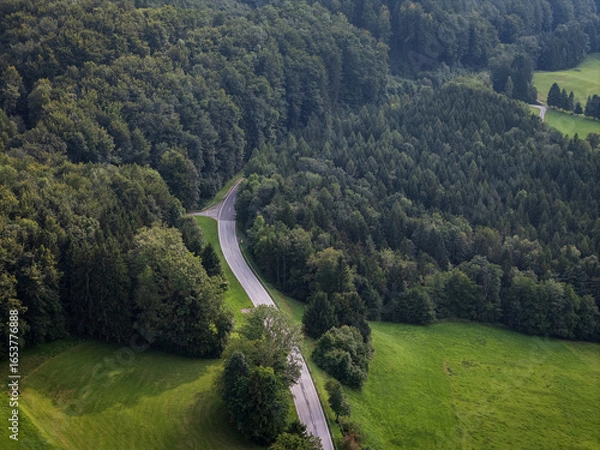 Obraz Luftbild Waldstraße
