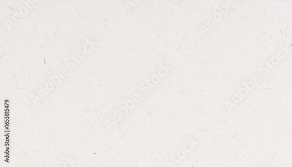 Obraz White Recycled Paper Texture