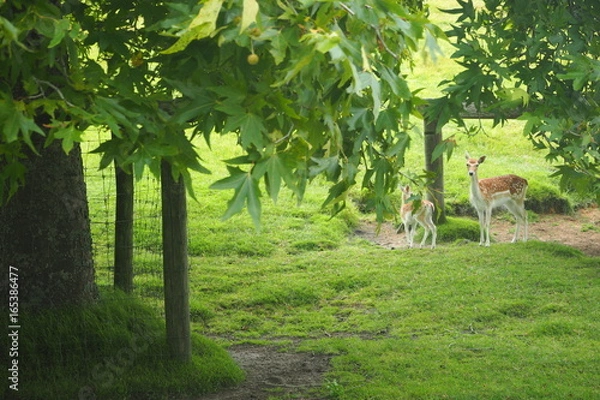 Obraz OLYMPUS DIGITAL CAMERA