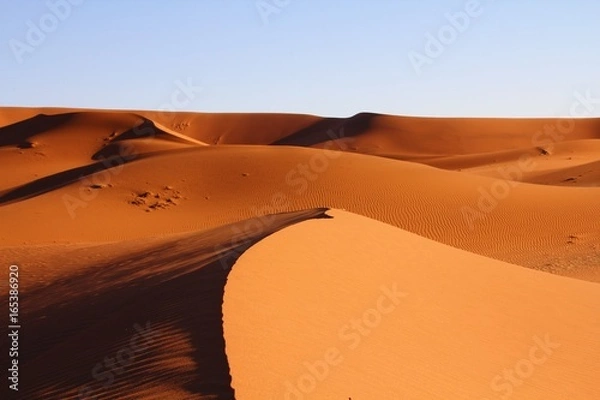 Obraz アフリカ旅行