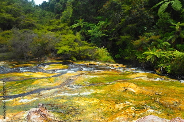 Fototapeta OLYMPUS DIGITAL CAMERA