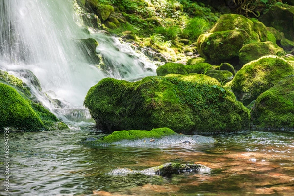 Obraz 苔むした岩に降り注ぐ伏流水