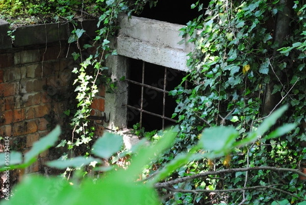 Obraz Verwitterte Hütte im Wald