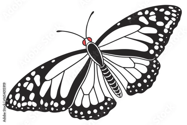 Fototapeta Illustration of a butterfly isolated on white background in black and white