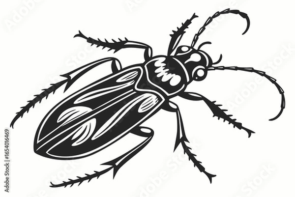 Fototapeta Detailed vector illustration of a beetle isolated on white background
