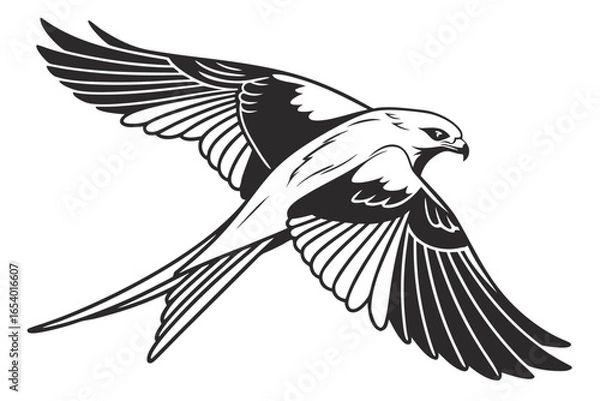 Fototapeta Illustration of a kite bird soaring in the sky isolated on white background