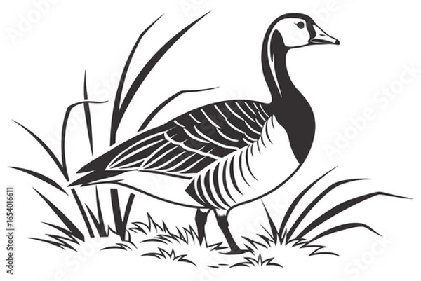 Fototapeta Illustration of a goose standing in grass isolated on white background