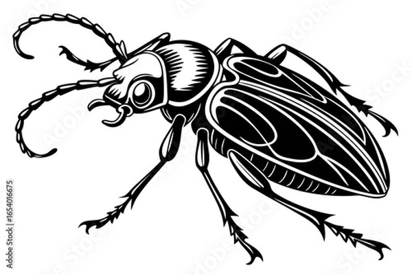 Fototapeta Detailed beetle illustration isolated on white background, perfect for design