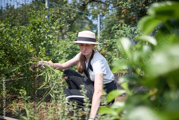 Fototapeta Woman working in a small garden 