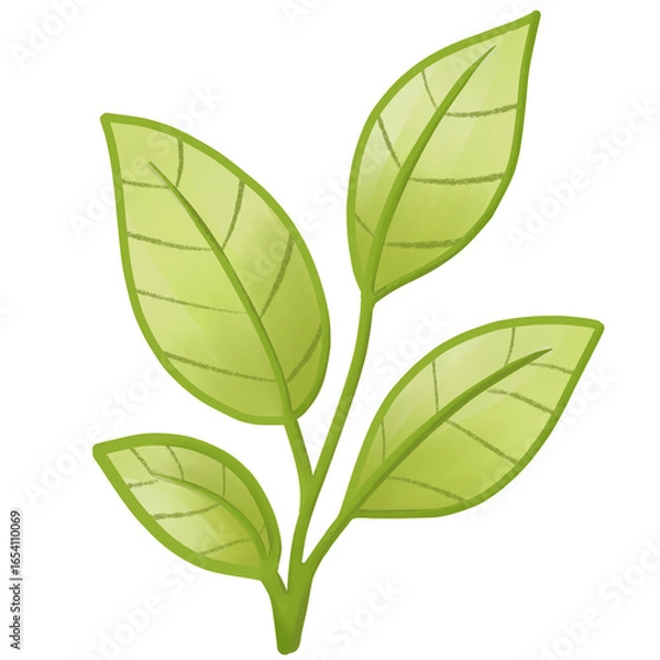 Obraz Green tea leaf