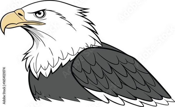 Obraz american bald eagle