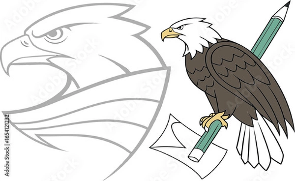 Fototapeta eagle on the branch