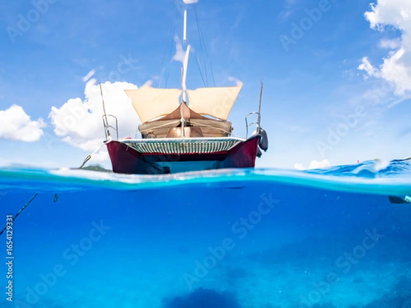 Obraz カタマランヨットのダイビングクルーズ船の半水面撮影。 巨大なサンゴ礁と熱帯魚の群れ。 沖縄県島尻郡慶良間諸島座間味島嘉比島-2025/6/27 