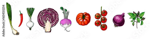 Fototapeta Hand Drawn line Vegetables – Sketch Style Vector Set