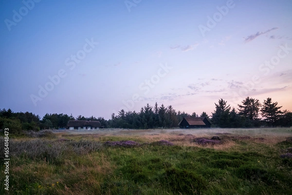 Fototapeta fog over the ground at dusk