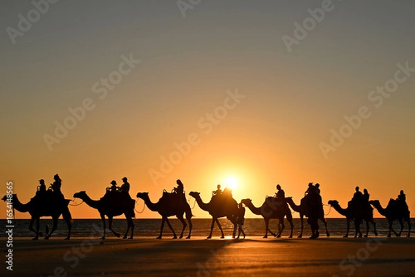 Obraz Camels walking on the beach.