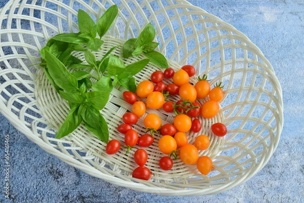 Fototapeta Red and yellow cherry tomatoes and fresh basil leaves in a basket