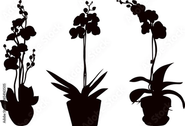 Obraz orchid in pot silhouette vector