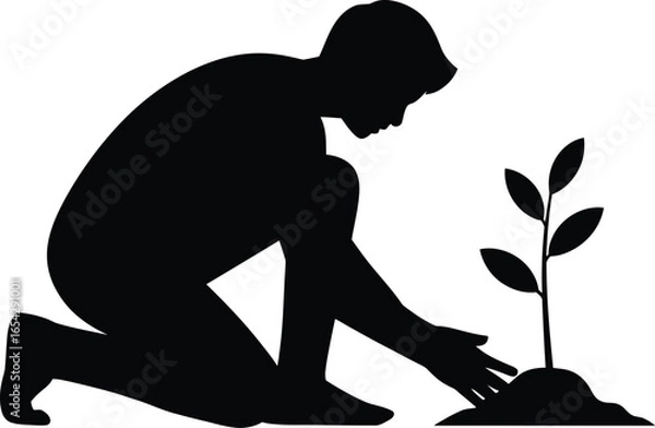 Fototapeta Person kneeling planting a small sapling in the ground silhouette