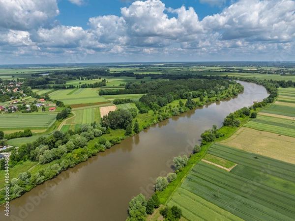 Fototapeta San river in Poland. Aerial drone view of the San River in Lezajsk, Poland, with a bridge crossing over the water. Scenic summer landscape with greenery, flowing river and town surroundings.