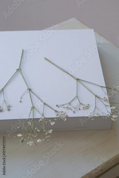 Obraz 押し花のカスミソウ｜白背景のシンプルな花素材