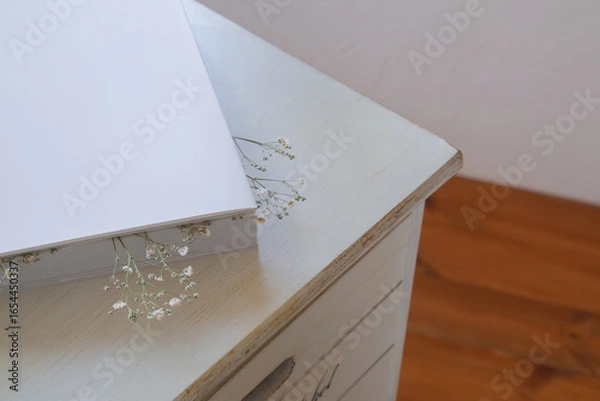 Obraz 押し花のカスミソウ｜白背景のシンプルな花素材