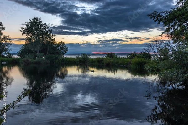Obraz Duck Pond Reflections