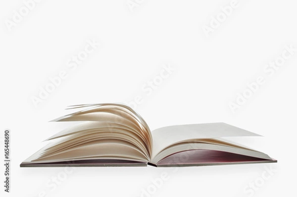 Obraz Blank open book isolated on white background, input text idea