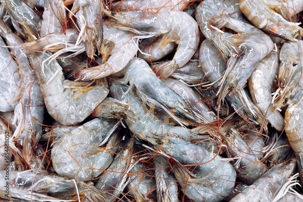 Obraz Prawns at wet market seafood area, common ingredient across the world, particularly common in Asian cuisine, full of prawns with ice, top view of market tray