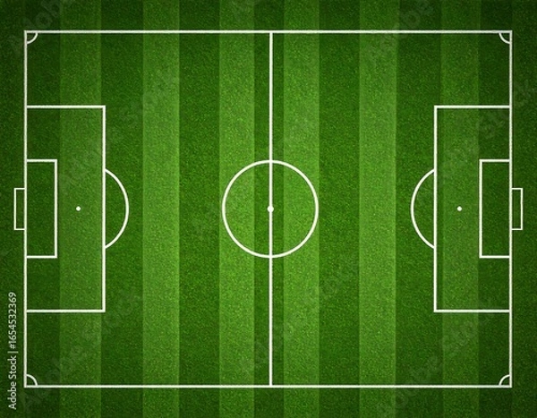 Obraz Soccer field, overhead view