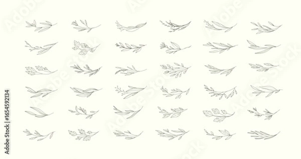 Obraz Set of floral design elements. Delicate botanical branch in arcs form with flowers and leaves, intricate hand drawn details. Botanical vector illustration for invitation