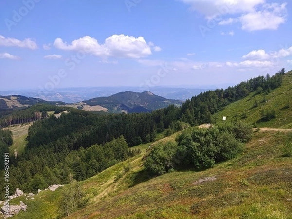 Obraz panorama