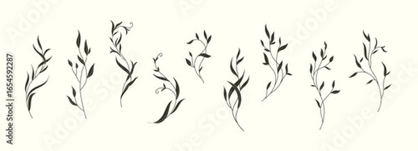 Obraz Set of sophisticated branch in silhouette or linocut drawing style. Luxury floral collection for wedding invitation, wallpaper art or save the date card