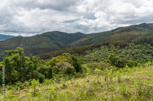 Fototapeta Panoramic view of lush green mountains and valleys with diverse and dense forest types under a sunny summer morning heavily cloudy sky in Monte Verde, Camanducaia, Minas Gerais - Brazil.