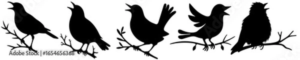Obraz Five Singing Blackbird Silhouettes on Branches