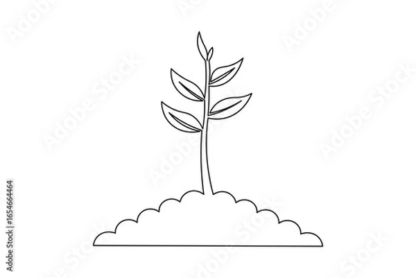 Fototapeta Growth plants continuous one line drawing on white background
